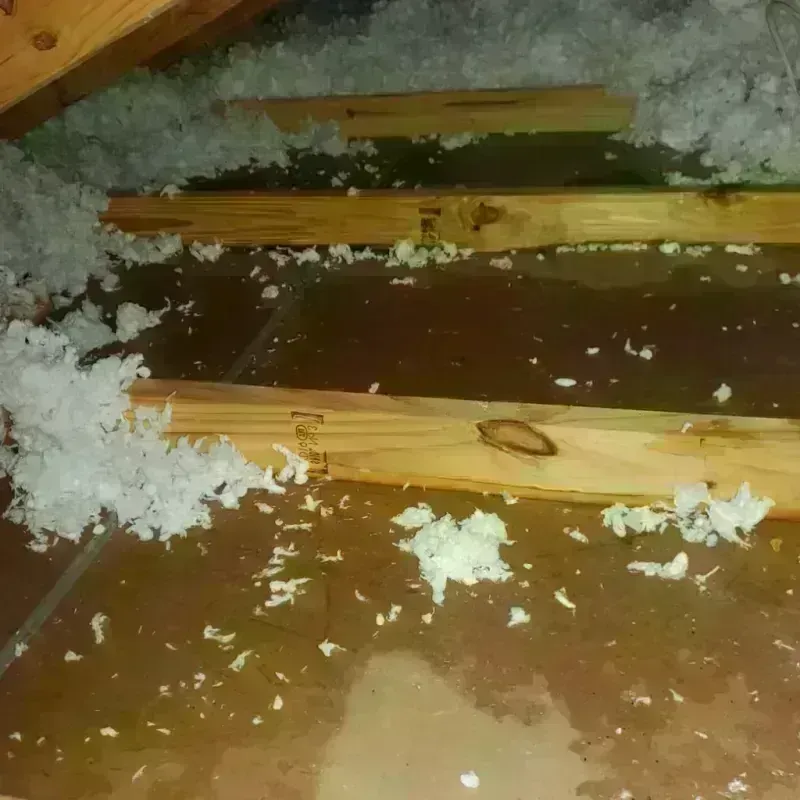 Attic Water Damage in Lakeport, CA