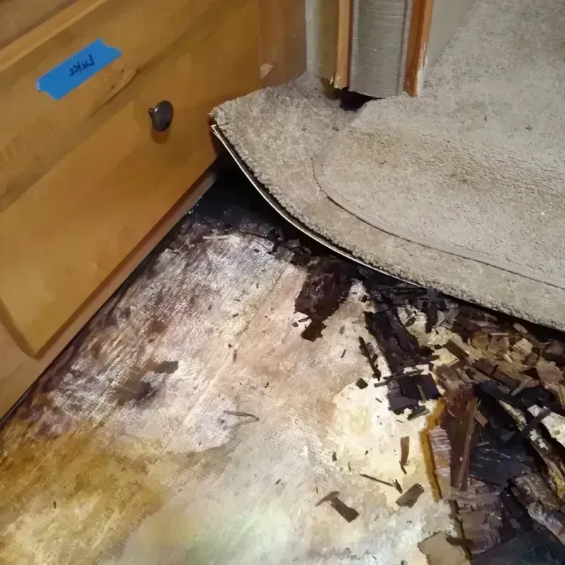 Best Wood Floor Water Damage Service in Lakeport, CA